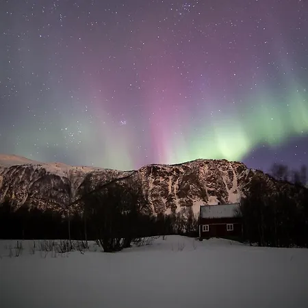Lyngen *