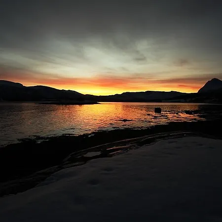 Lyngen *