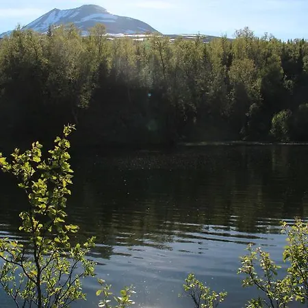 Lyngen * Lyngseidet