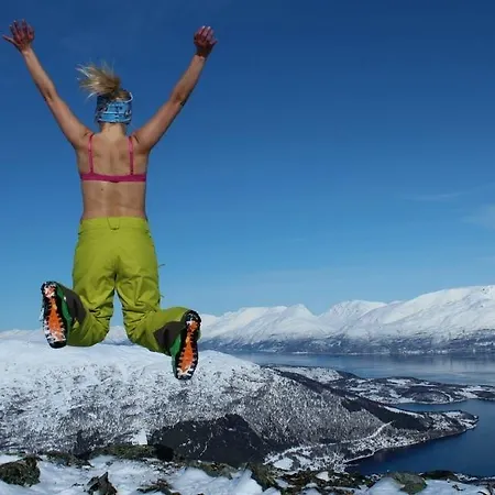 Lyngen