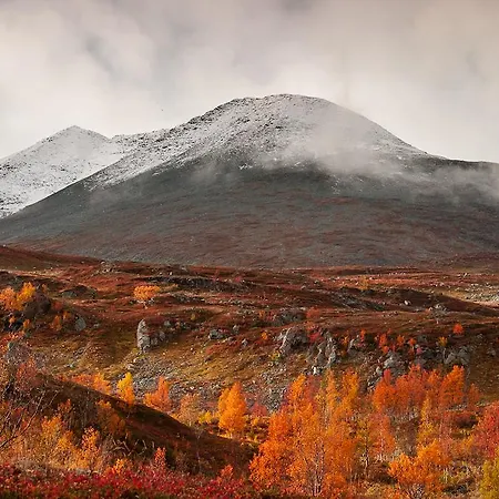 Lyngen